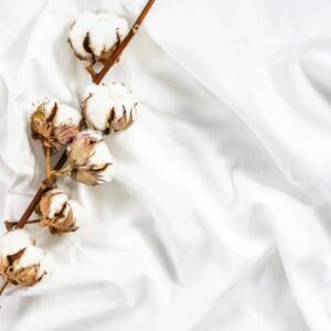 Egyptian Cotton